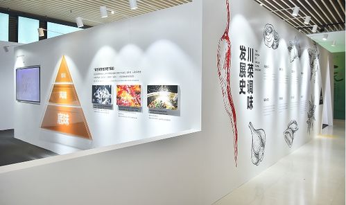 豪吉在成都博物馆开展,用科技引领川菜向前