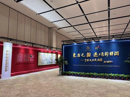 当东方之韵遇上色彩非洲,一场别开生面的文化交流盛宴