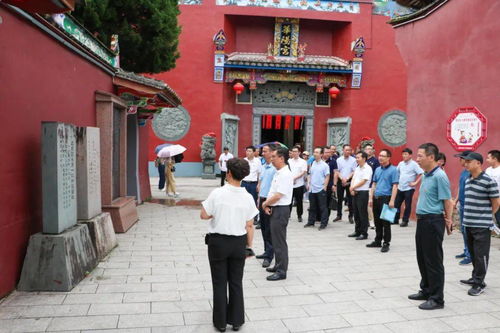 弘扬端午文化 厚植爱党情怀 福建各地举办多彩活动庆祝 我们的节日 端午 一