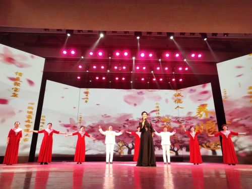 盛世夕阳红 第四十九届中国文化艺术交流大赛厦门隆重举办