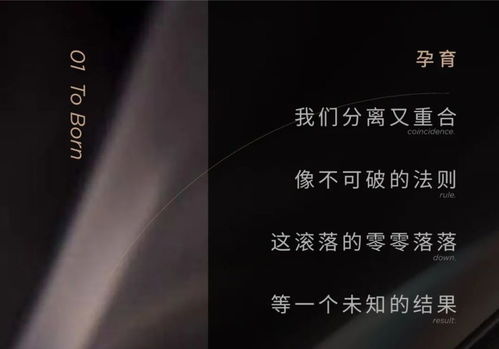 dpd递加设计 北京3am soho艺术沙龙